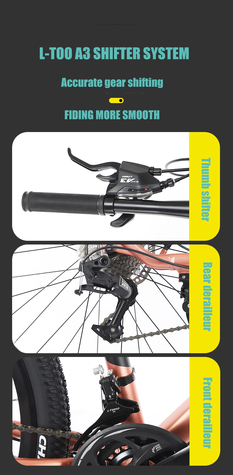 27.5Inch Lightest Aluminium Mountain Bike Alloy Fork Downcountry Mountain Bike 4